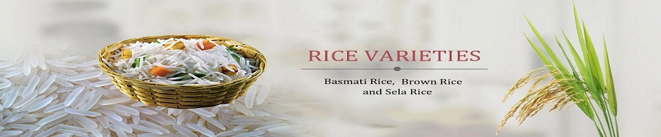 Rice & Rice Product