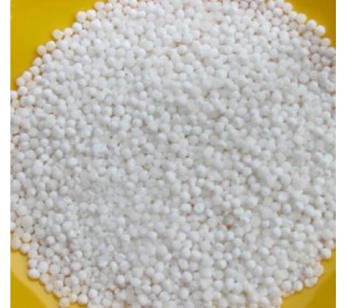 Fp Sabudana 100 Gm